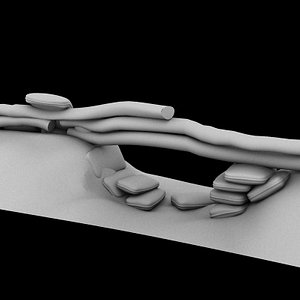 3d world war 1 trench