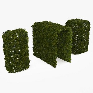 3D Set for Hedge of bushes 3D model Setos arbusto