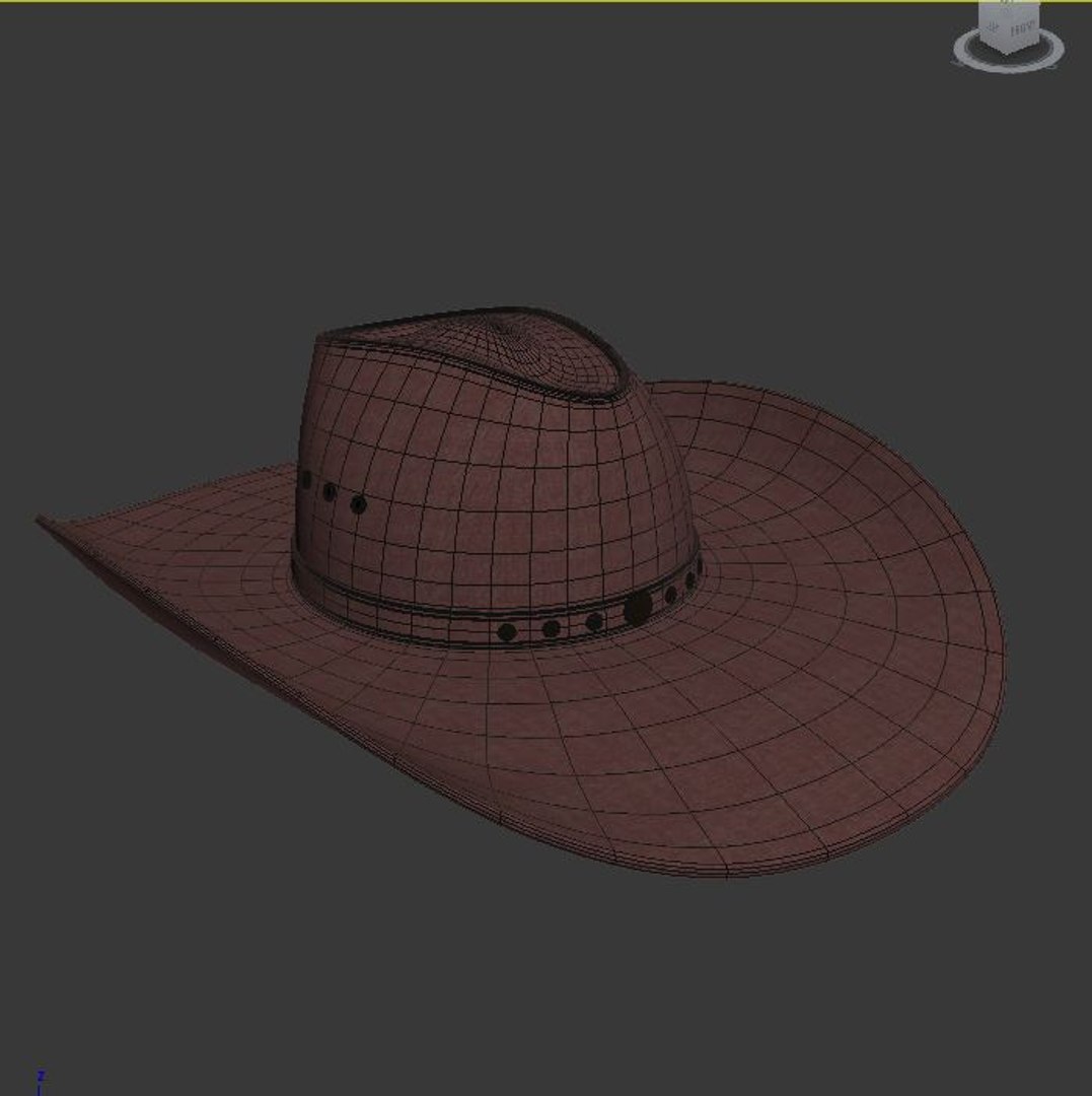 3d Cowboy Hat Model