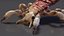 Louse with Blood Eating Pose