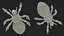 Louse with Blood Eating Pose