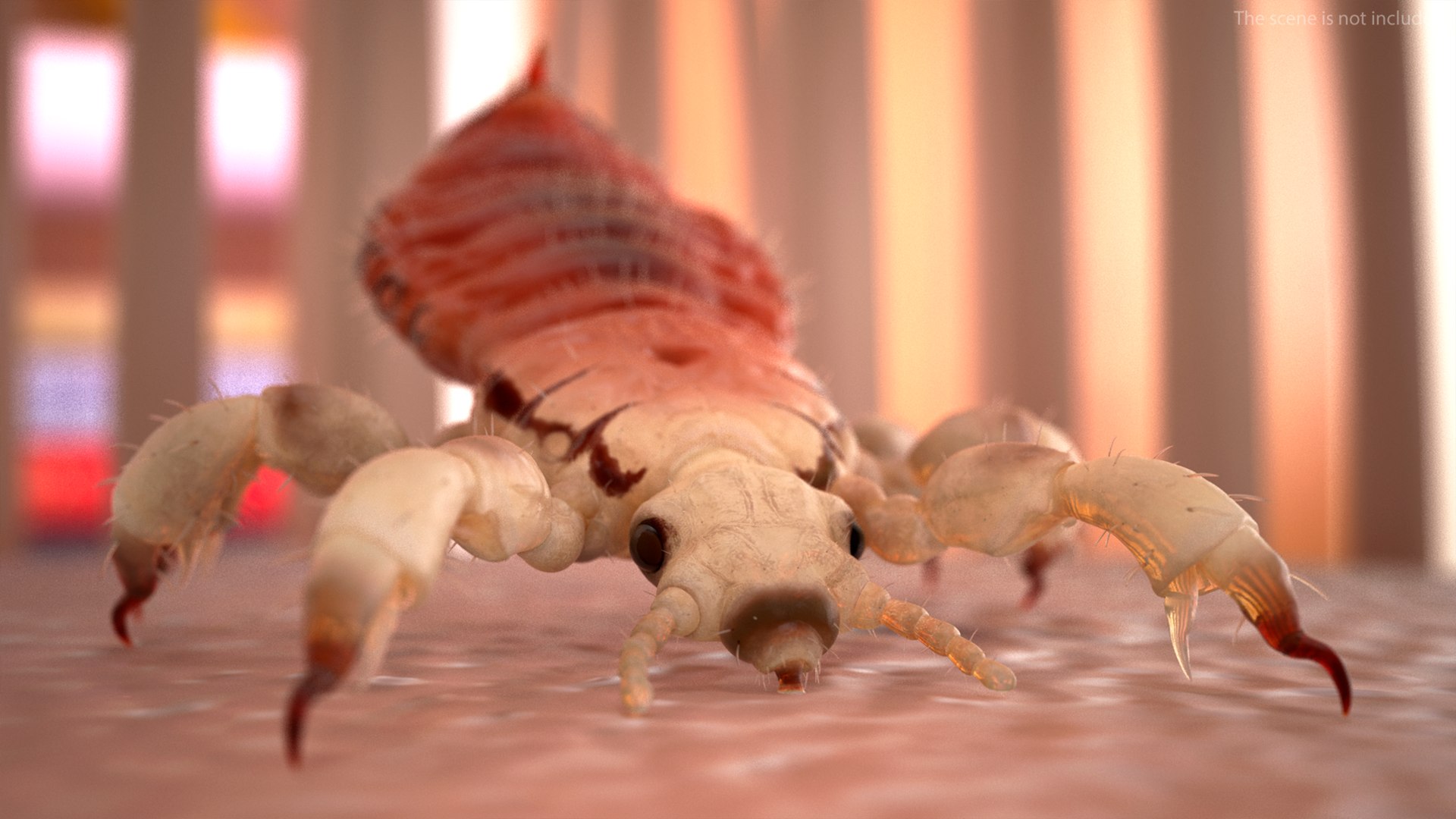 3D model Louse with Blood Eating Pose https://p.turbosquid.com/ts-thumb/6l/oGvNMJ/QJ/lousewithbloodeatingposesssmb3dmodel008/jpg/1727047972/1920x1080/fit_q87/087779d9a246b19bb331e07c413d78eec5b3afcf/lousewithbloodeatingposesssmb3dmodel008.jpg