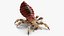 Louse with Blood Eating Pose