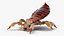 Louse with Blood Eating Pose