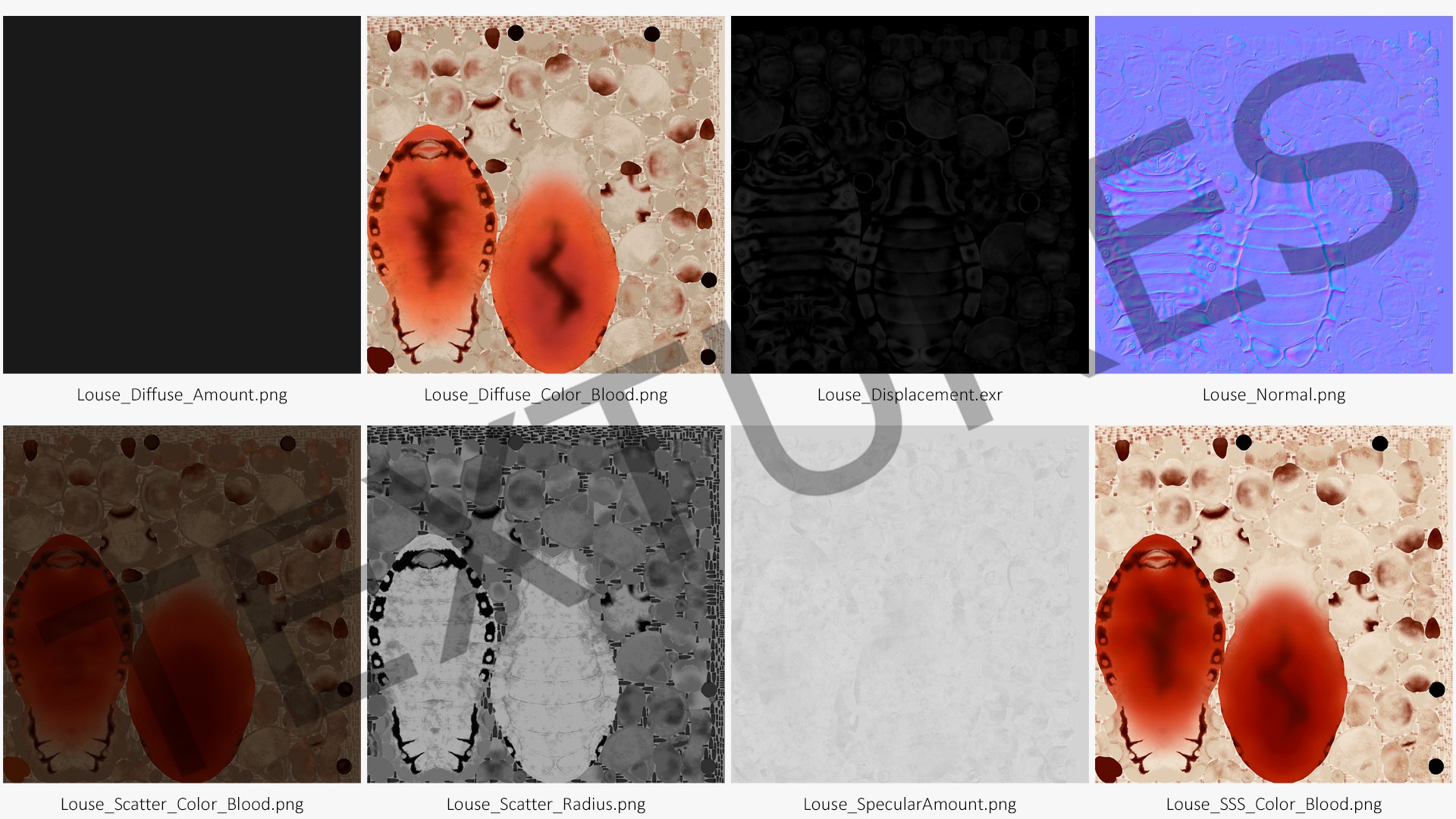 3D model Louse with Blood Eating Pose https://p.turbosquid.com/ts-thumb/6l/oGvNMJ/oX/lousewithbloodeatingposesssmb3dmodel027/jpg/1727048045/1920x1080/fit_q87/1fff99d0cb0cc833d4e31415f35b9a5b6a6a9dc5/lousewithbloodeatingposesssmb3dmodel027.jpg