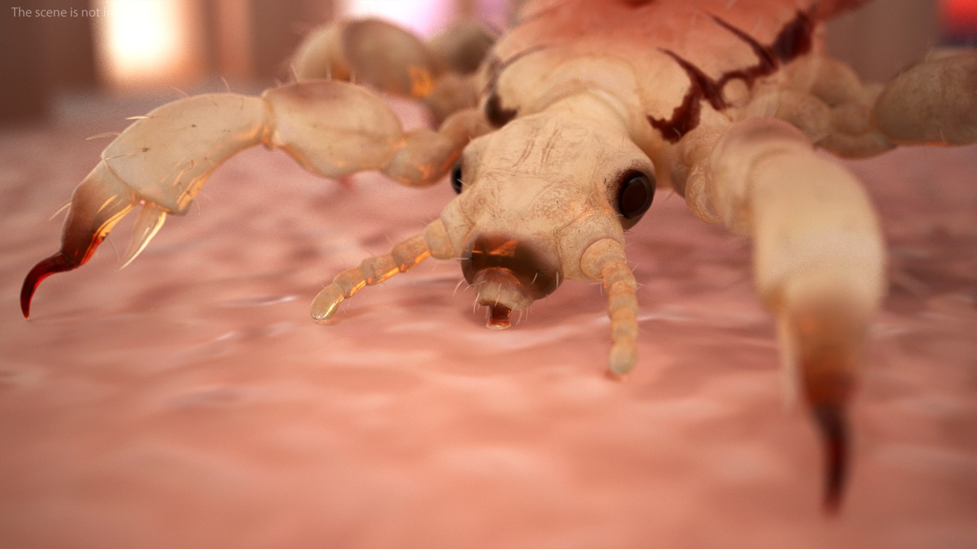 3D model Louse with Blood Eating Pose https://p.turbosquid.com/ts-thumb/6l/oGvNMJ/uD/lousewithbloodeatingposesssmb3dmodel011/jpg/1727047986/1920x1080/fit_q87/d2ccb90df19d292019faf9104dbee6c2fbe4f783/lousewithbloodeatingposesssmb3dmodel011.jpg