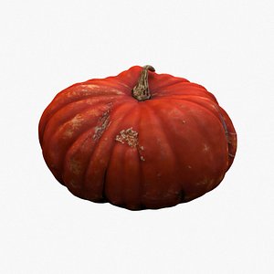 pumpkin 07 3d model