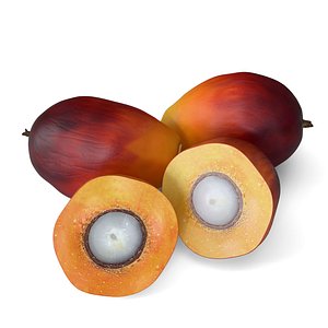 Realistic Batana Fruit 3D