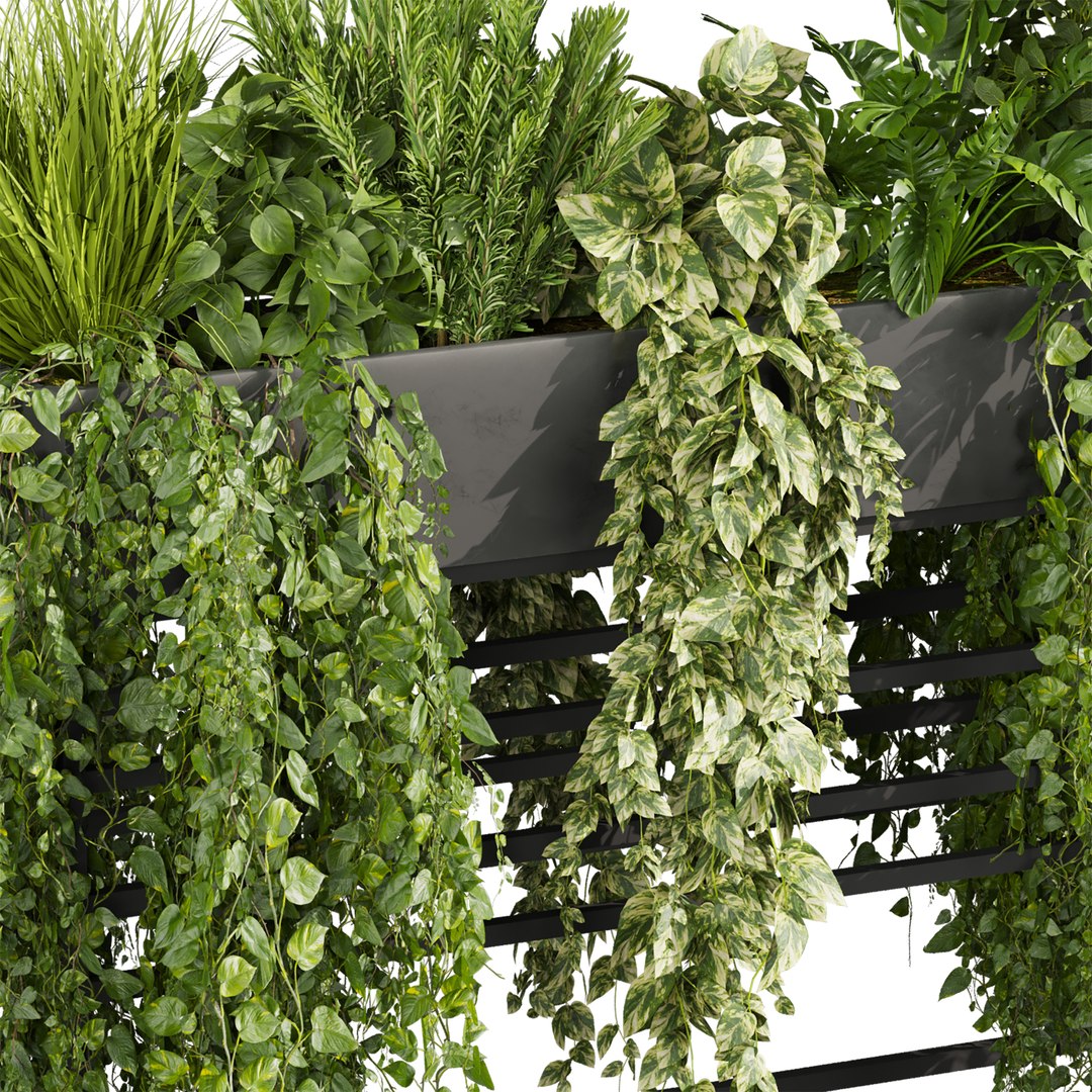 plant vol 1007 - ivy - fern - pothos - bush - monstera 3D model https://p.turbosquid.com/ts-thumb/6l/vCpk3i/Jb/3/jpg/1788623254/1920x1080/fit_q87/1222f5ddd9aa4ab362a07892096a04dd00e53766/3.jpg