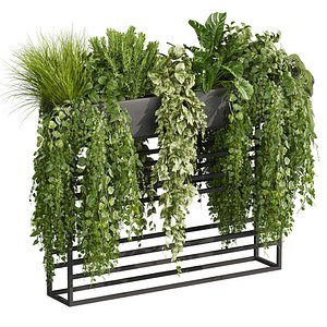 plant vol 1007 - ivy - fern - pothos - bush - monstera 3D model