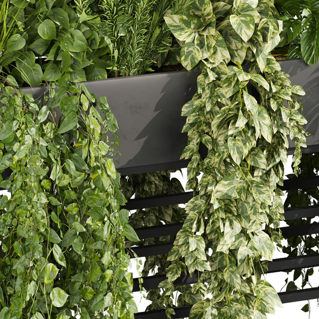 plant vol 1007 - ivy - fern - pothos - bush - monstera 3D model https://p.turbosquid.com/ts-thumb/6l/vCpk3i/Xo/5/jpg/1788623255/1920x1080/fit_q87/1dbe2ff2ffe309657b74bdd2329dce7e96af2d13/5.jpg