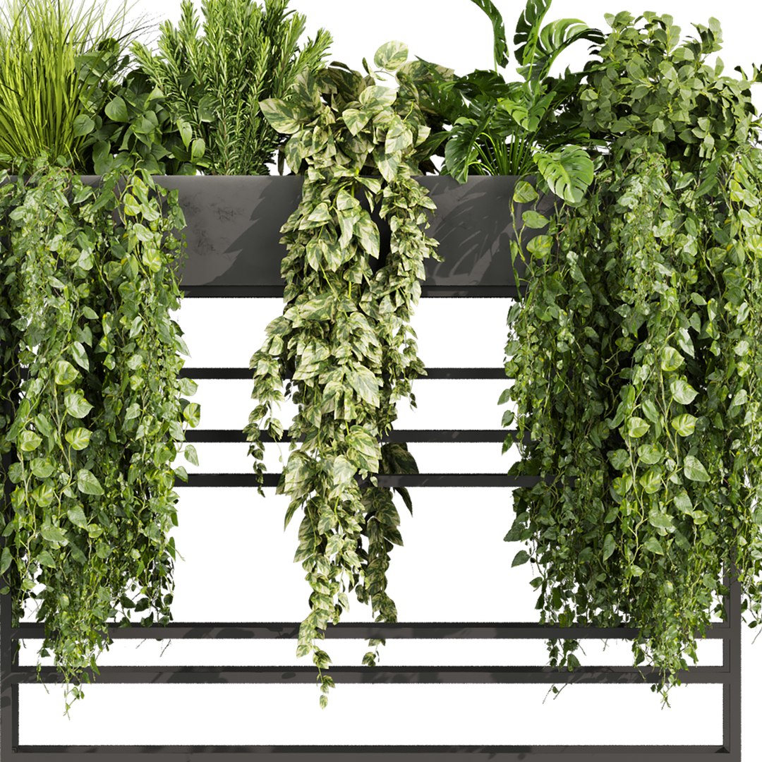 plant vol 1007 - ivy - fern - pothos - bush - monstera 3D model https://p.turbosquid.com/ts-thumb/6l/vCpk3i/eT/4/jpg/1788623254/1920x1080/fit_q87/72ec9dc5189596a5eef762712c4113d50386a629/4.jpg