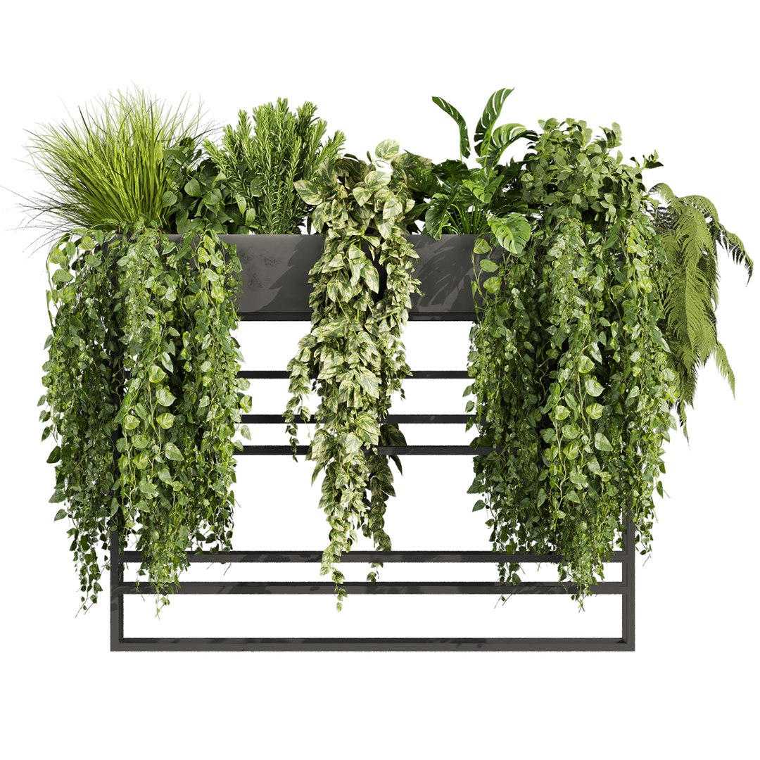 plant vol 1007 - ivy - fern - pothos - bush - monstera 3D model https://p.turbosquid.com/ts-thumb/6l/vCpk3i/nq/2/jpg/1788623253/1920x1080/fit_q87/96aea126eec56ba5eeae606295a8389072d571bc/2.jpg