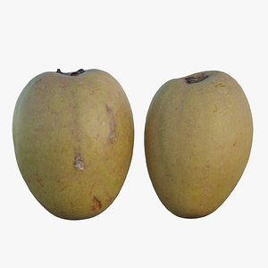 Sapodilla model
