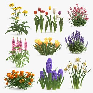 Real Flowers