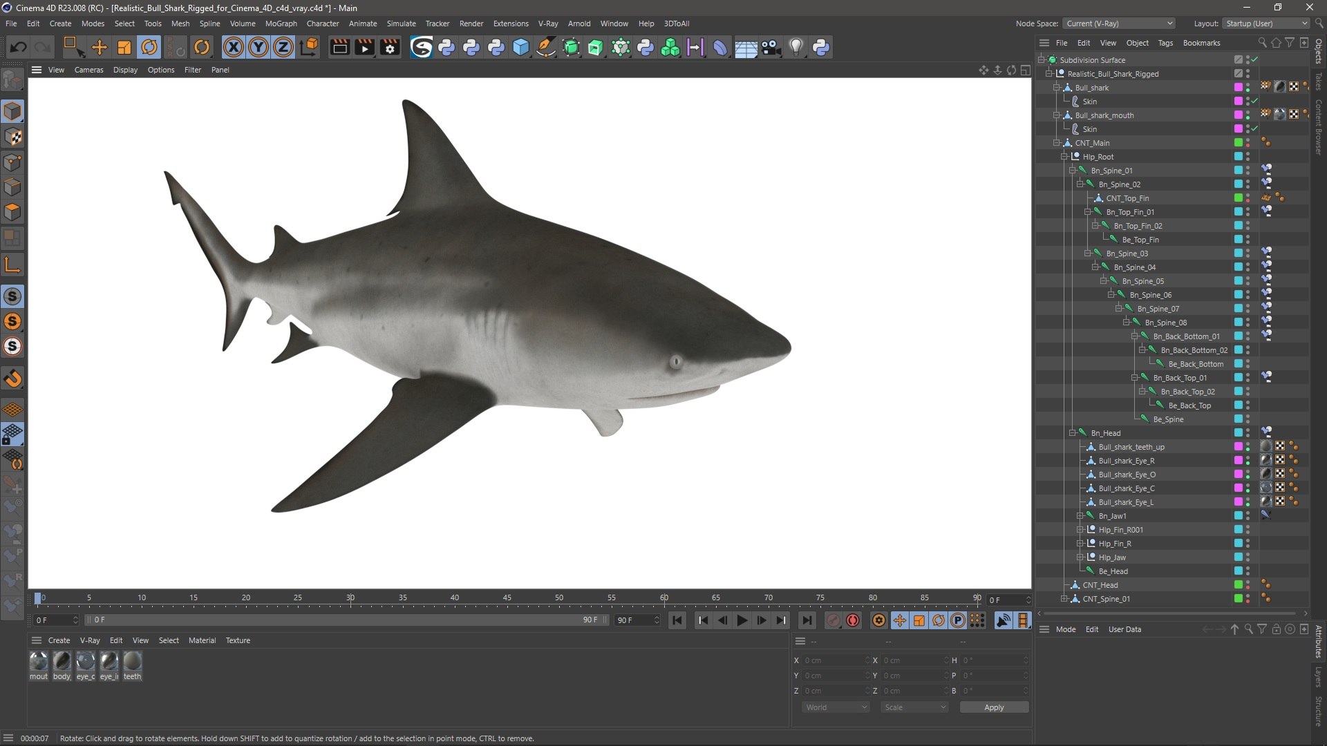Realistic Bull Shark Rigged for Cinema 4D 3D model https://p.turbosquid.com/ts-thumb/6m/EygsvO/8B/realistic_bull_shark_rigged_for_cinema_4d_005/jpg/1747834990/1920x1080/fit_q87/f0a4579d7a3740a23b191be731e83d690e1ca2b5/realistic_bull_shark_rigged_for_cinema_4d_005.jpg