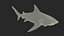 Squalo toro realistico truccato per Cinema 4D