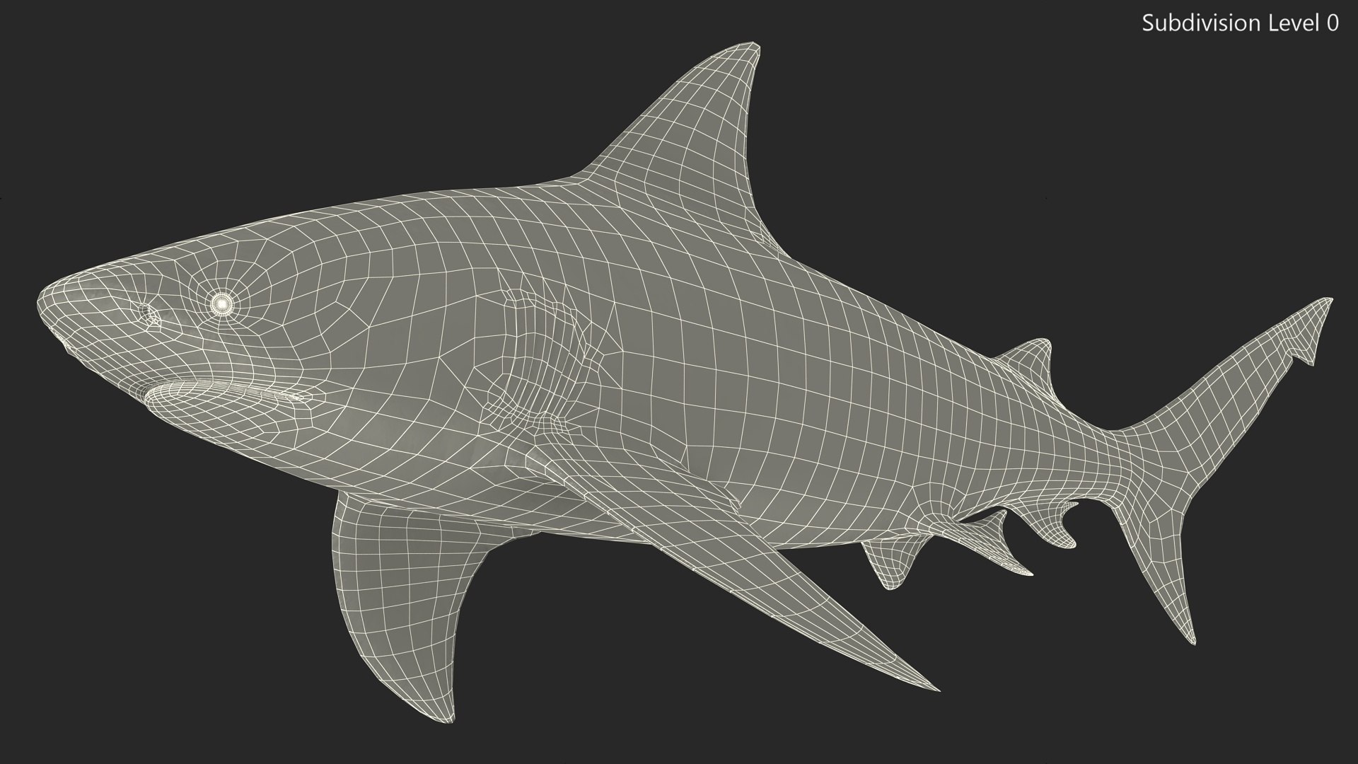 Realistic Bull Shark Rigged for Cinema 4D 3D model https://p.turbosquid.com/ts-thumb/6m/EygsvO/j9/realistic_bull_shark_rigged_019/jpg/1737019201/1920x1080/fit_q87/02959d166d2f8e892f8897a2ff170e73a2eb90b9/realistic_bull_shark_rigged_019.jpg