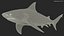 Squalo toro realistico truccato per Cinema 4D