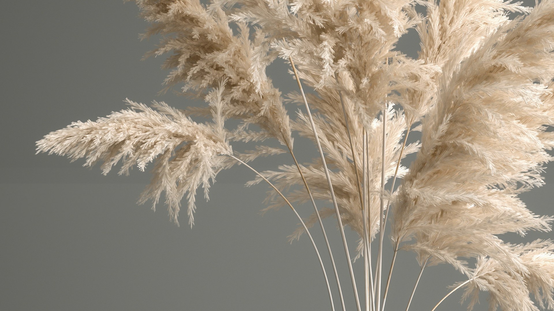 3D Model Bouquet Of Dried White Reeds In A Vase 145 - TurboSquid 1775181