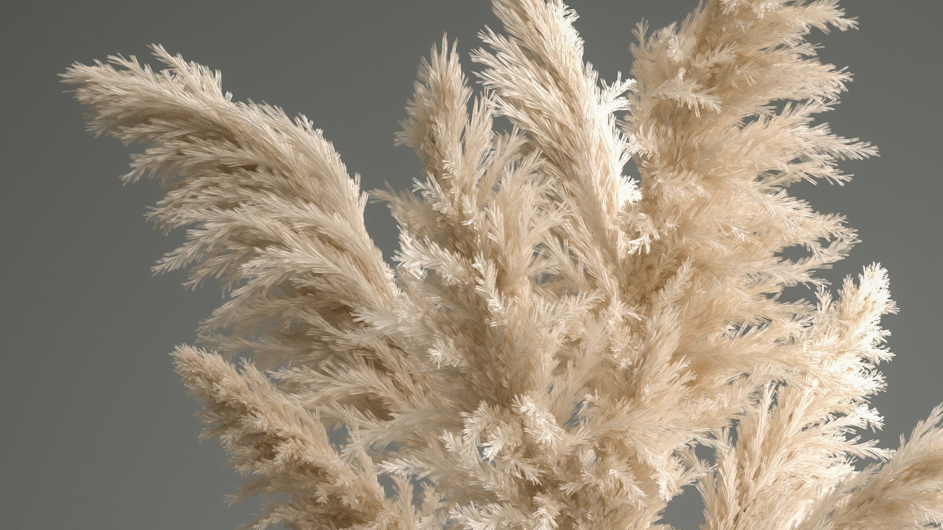 3D Model Bouquet Of Dried White Reeds In A Vase 145 - TurboSquid 1775181