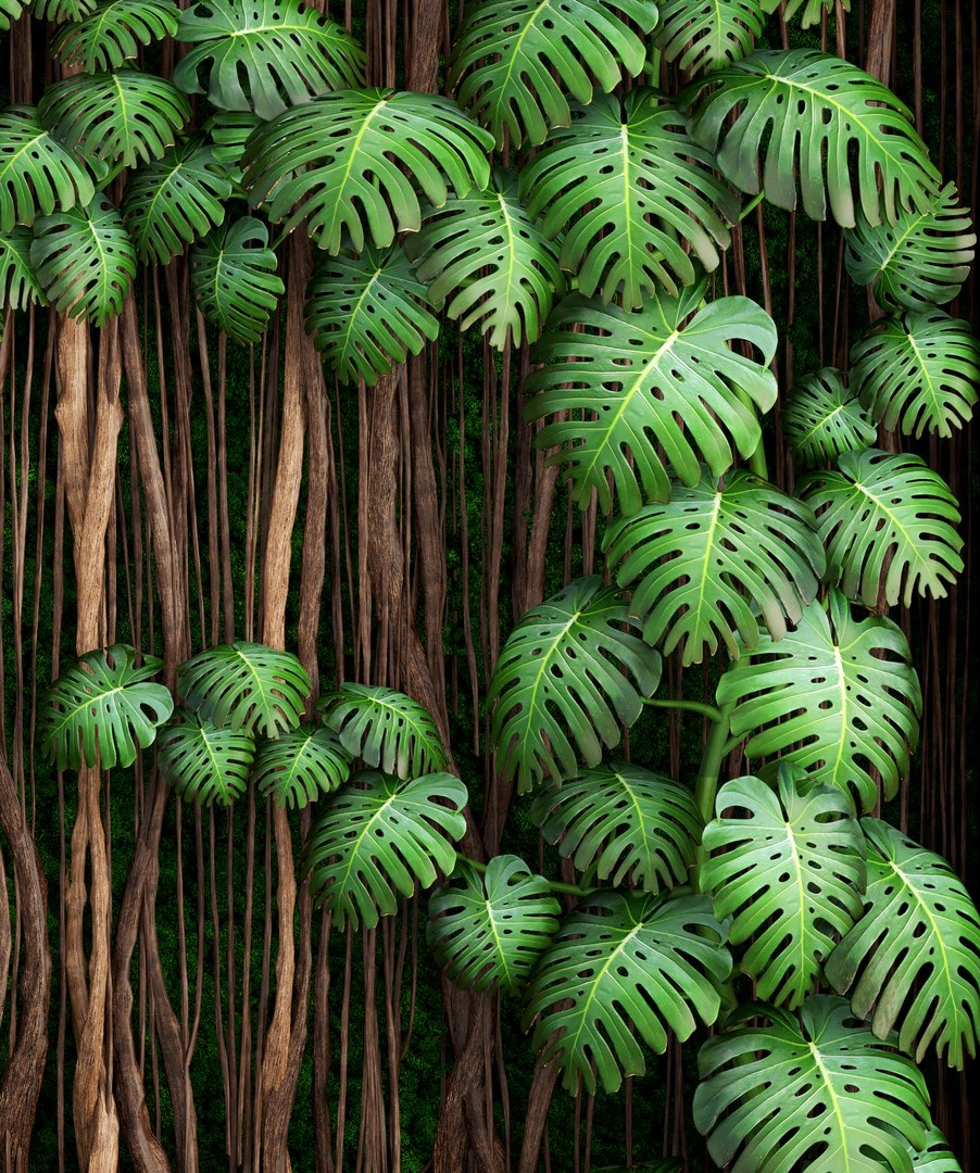 3D vertical gardening monstera model https://p.turbosquid.com/ts-thumb/6m/MhYfwt/MPaVe7I3/verticalgardengreene090106/jpg/1515576811/1920x1080/fit_q87/7913bdfc88c78a2521d3dcc4ab11a503e66d99ff/verticalgardengreene090106.jpg