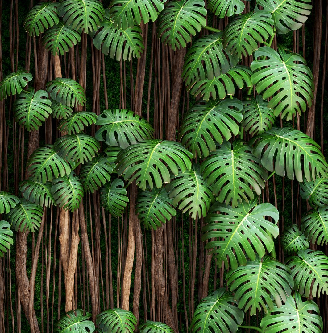 3D vertical gardening monstera model https://p.turbosquid.com/ts-thumb/6m/MhYfwt/shdb446Z/verticalgardengreene090105/jpg/1515576810/1920x1080/fit_q87/caf476ab11d5b3729b759d72501b82dc5e7bcc07/verticalgardengreene090105.jpg