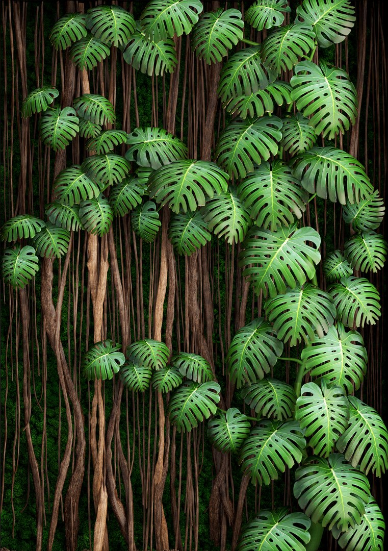 3D vertical gardening monstera model https://p.turbosquid.com/ts-thumb/6m/MhYfwt/wwQfWhaT/verticalgardengreene090102/jpg/1515576810/1920x1080/fit_q87/ec6c3ae87ff866f02fedbb618521abd632f79b77/verticalgardengreene090102.jpg