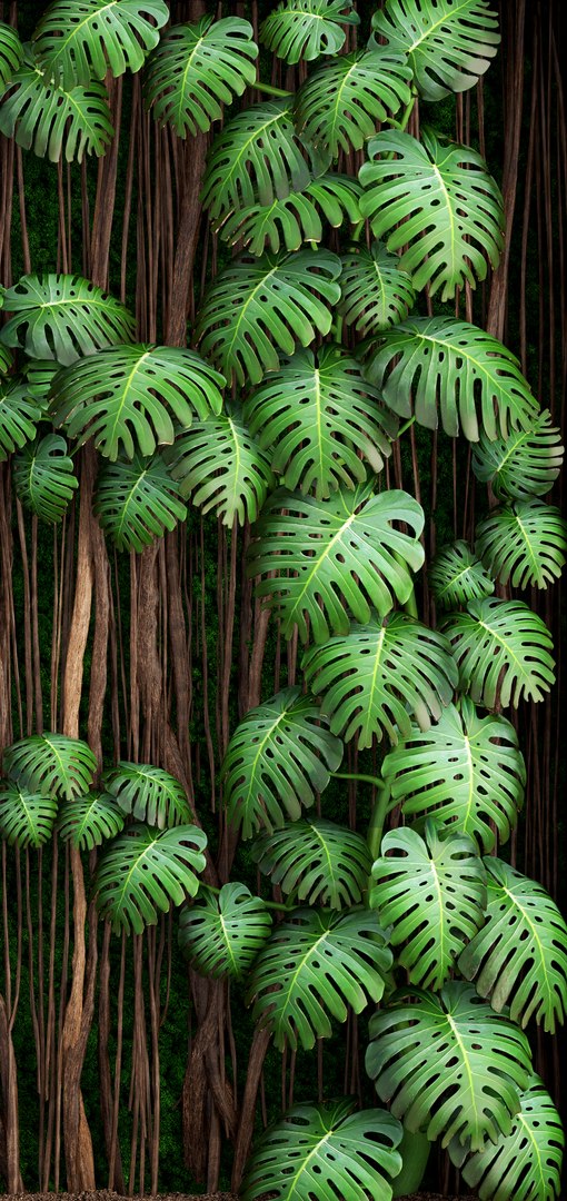 3D vertical gardening monstera model https://p.turbosquid.com/ts-thumb/6m/MhYfwt/xLsjZsQm/verticalgardengreene090103/jpg/1515576810/1920x1080/fit_q87/4d08b2d219314836571712849b755bef055f0a30/verticalgardengreene090103.jpg