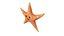 common starfish toon fish 3D model
