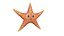 common starfish toon fish 3D model