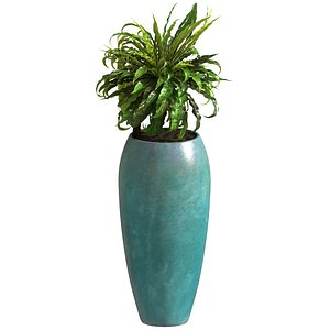 3D Fern Asplenium Tall Glazed Pot
