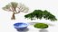 Bonsai Trees Collection 3D model
