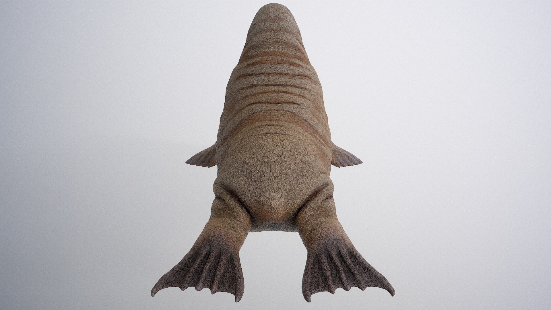 3D Model Walrus Animal Nature - TurboSquid 1619330