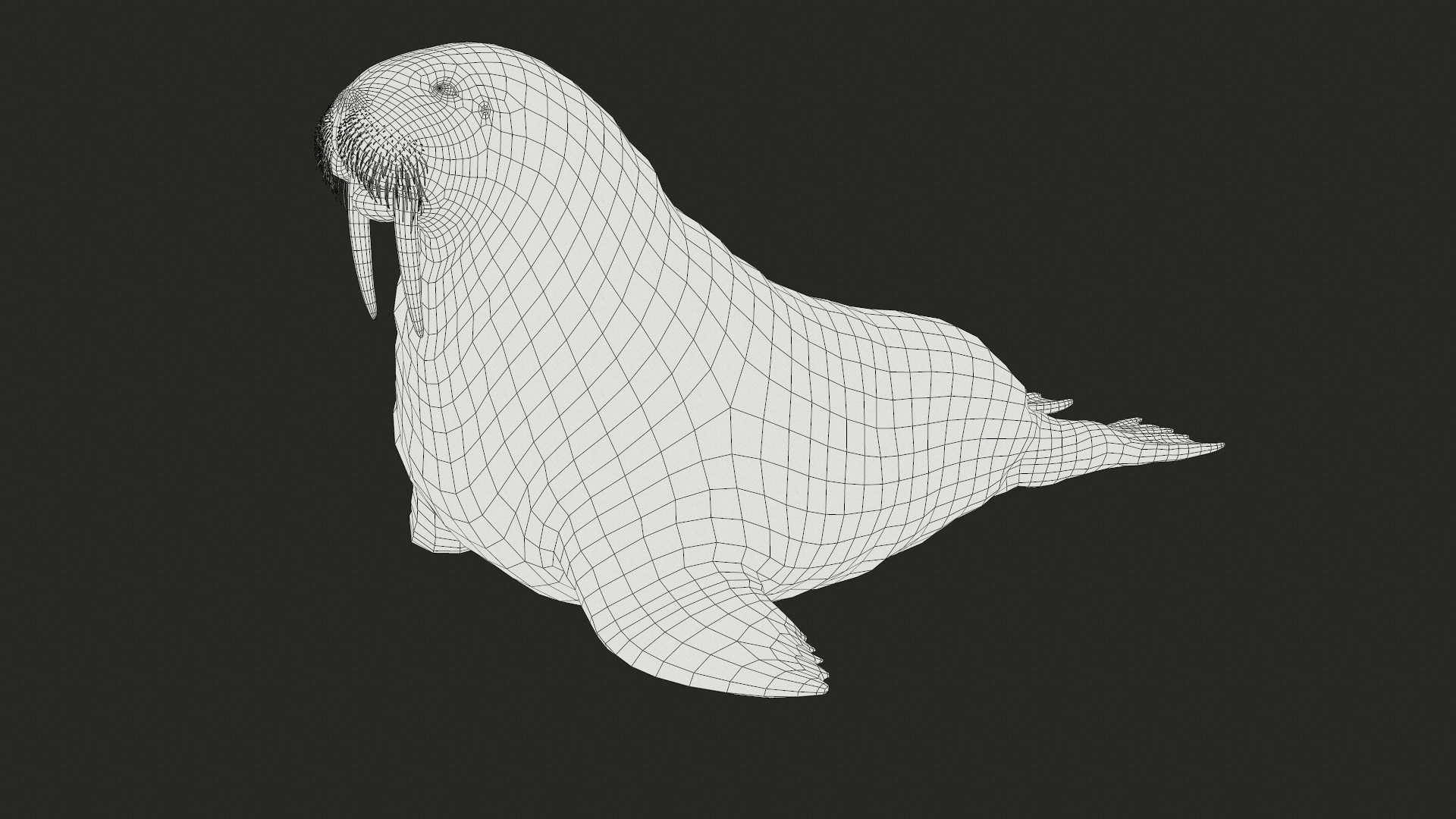 3D Model Walrus Animal Nature - TurboSquid 1619330