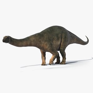 Brontosaurus Rigged
