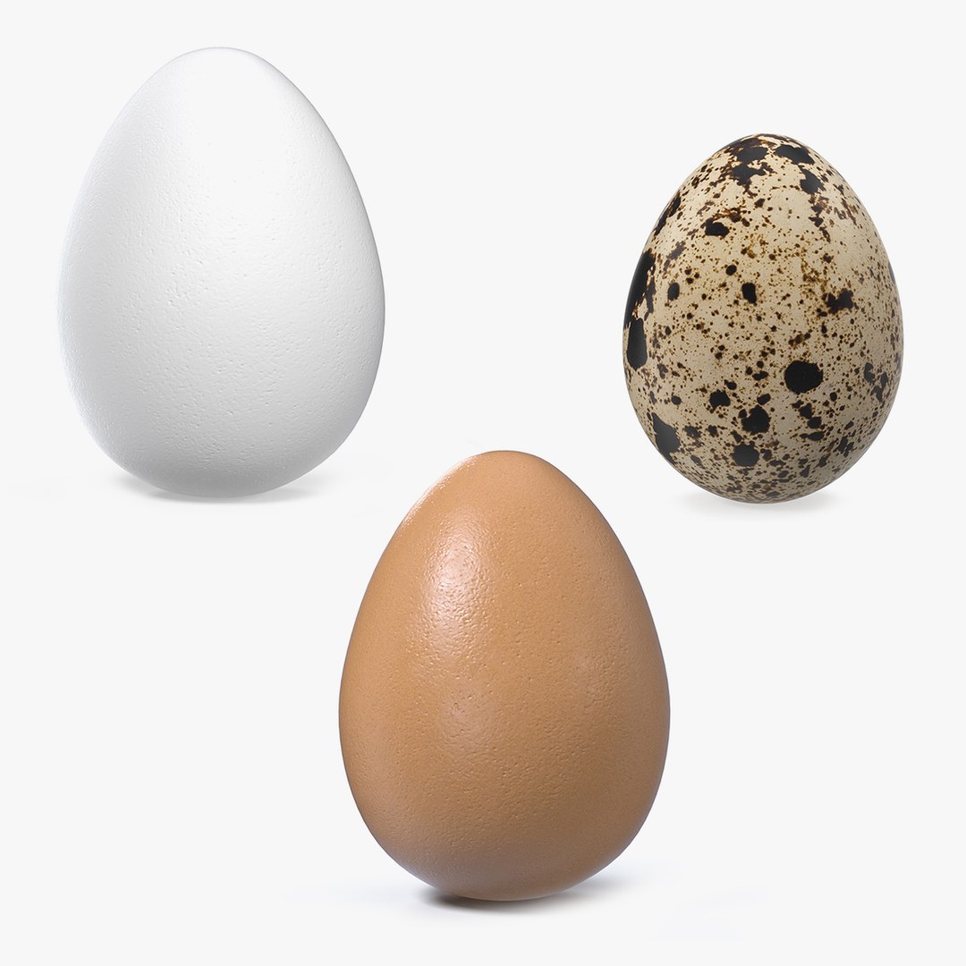 Eggs 3D Models Collection 3D model preview