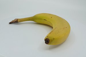 photogrammetry scan 3D