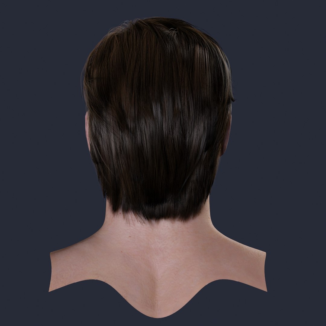 3d Model Male Head