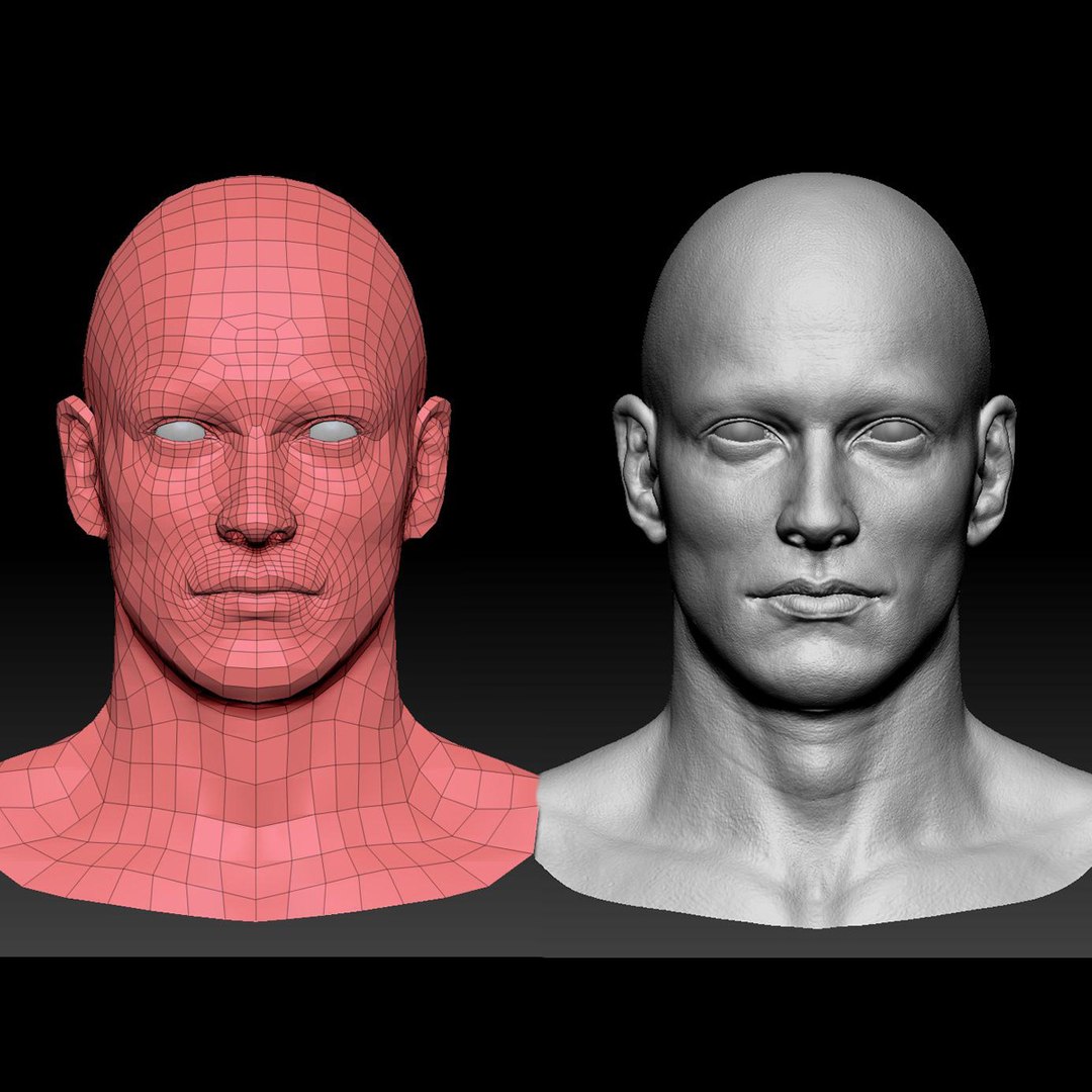 3d Model Male Head