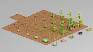 3D farm vegetable