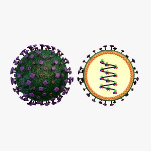 Nipah virus