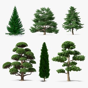 3D Evergreen Trees Collection 3