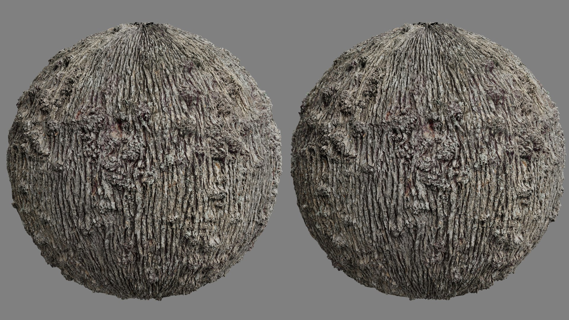 3D model Winged Elm Log PBR tiled texture 8K https://p.turbosquid.com/ts-thumb/6n/701iok/Nx/elm_log06/jpg/1779779968/1920x1080/fit_q87/1d9f22e6cb2ffe318e61055cd0d1e367b0f1e777/elm_log06.jpg