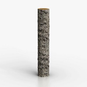 3D model Winged Elm Log PBR tiled texture 8K