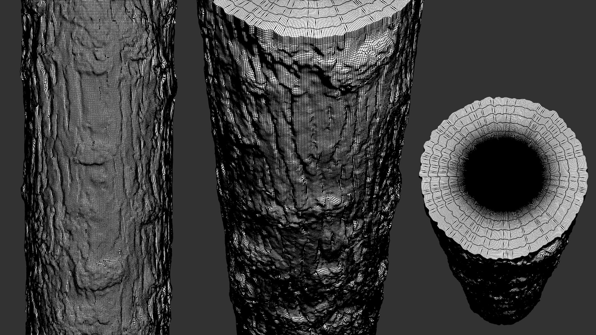 3D model Winged Elm Log PBR tiled texture 8K https://p.turbosquid.com/ts-thumb/6n/701iok/wb/wire01/jpg/1781157857/1920x1080/fit_q87/9cd8a71b502324450b8b0357b6d33332b5b45e71/wire01.jpg
