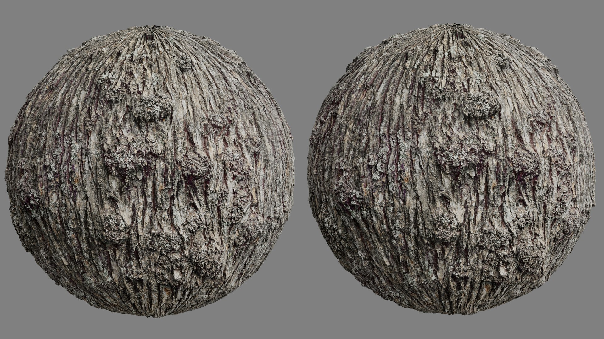 3D model Winged Elm Log PBR tiled texture 8K https://p.turbosquid.com/ts-thumb/6n/701iok/zo/elm_log05/jpg/1779779966/1920x1080/fit_q87/6b02a5a08a56f3096ac545e39752f7b0c0d6a214/elm_log05.jpg