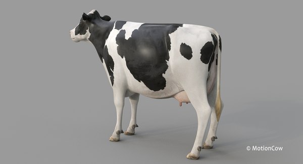 Cow holstein pro animations 3D model - TurboSquid 1407255