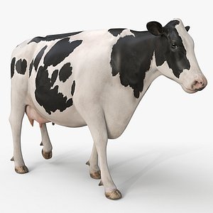 Animated Cow 3D Models for Download | TurboSquid