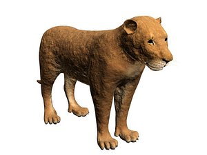 lioness 3d max